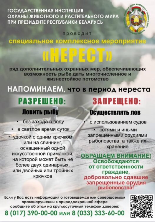 С 15 марта по 8 июня в Беларуси проводится специальное комплексное мероприятие «Нерест»