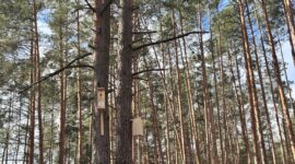 Председатель Солигорского райисполкома Анатолий Лодыга принимает участие в республиканском субботнике