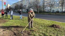 Как прошел республиканский субботник в Солигорском районе. Фоторепортаж
