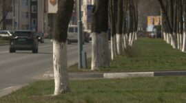 Как прошел республиканский субботник в Солигорском районе. Фоторепортаж