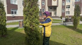 Как прошел республиканский субботник в Солигорском районе. Фоторепортаж