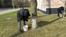 Как прошел республиканский субботник в Солигорском районе. Фоторепортаж