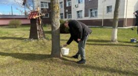 Как прошел республиканский субботник в Солигорском районе. Фоторепортаж