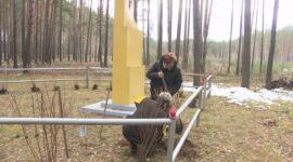 Председатель Солигорского райисполкома Анатолий Лодыга принимает участие в республиканском субботнике