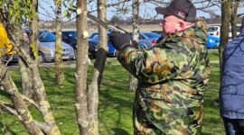 Как прошел республиканский субботник в Солигорском районе. Фоторепортаж