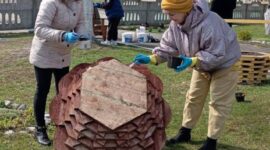 Как прошел республиканский субботник в Солигорском районе. Фоторепортаж