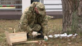 Как прошел республиканский субботник в Солигорском районе. Фоторепортаж