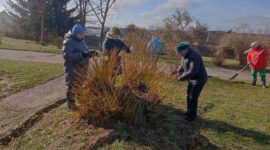 Как прошел республиканский субботник в Солигорском районе. Фоторепортаж