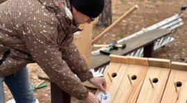 Как прошел республиканский субботник в Солигорском районе. Фоторепортаж