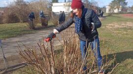 Как прошел республиканский субботник в Солигорском районе. Фоторепортаж