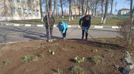 Как прошел республиканский субботник в Солигорском районе. Фоторепортаж