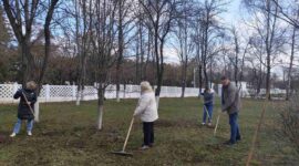 Как прошел республиканский субботник в Солигорском районе. Фоторепортаж
