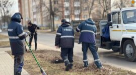 Как прошел республиканский субботник в Солигорском районе. Фоторепортаж