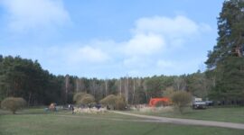 Как прошел республиканский субботник в Солигорском районе. Фоторепортаж