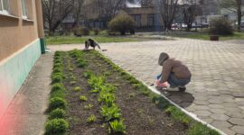 Как прошел республиканский субботник в Солигорском районе. Фоторепортаж