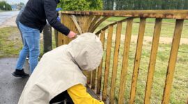 Как прошел субботник в Красной Слободе. Фоторепортаж