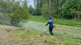 Как прошел субботник в Красной Слободе. Фоторепортаж