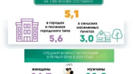 Статистический обзор ко Дню семьи