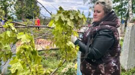 «Сделаем поселок Чистым сами!». Масштабный субботник в г.п. Красная Слобода объединил порядка 300 человек