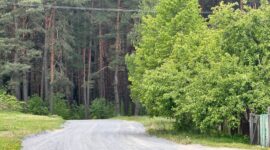 «Сделаем поселок Чистым сами!». Масштабный субботник в г.п. Красная Слобода объединил порядка 300 человек