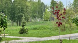 4 этап областной акции "Открой Минщину. Будущее начинается здесь!" стартовал в Смолевичах