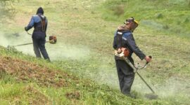 Как прошел субботник в Красной Слободе. Фоторепортаж