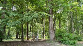 В фокусе внимания участников V Форума медийного сообщества Беларуси - Музей-усадьба XIX в. Козелл-Поклевских, внесенная в список историко-культурного наследия республики