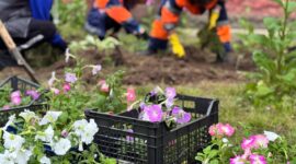 Масштабный молодежный субботник проходит сегодня в Солигорске