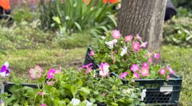 Масштабный молодежный субботник проходит сегодня в Солигорске