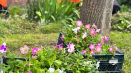 Масштабный молодежный субботник проходит сегодня в Солигорске