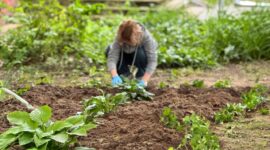 Масштабный молодежный субботник проходит сегодня в Солигорске