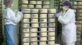 Видели как делают отечественный сыр для гурманов? СМИ Минщины посещают Нарочанский участок Минского молочного завода №1