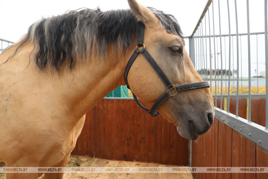 Почему обязательно стоит побывать на "Белагро-2025"?