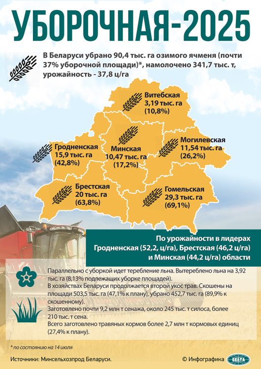В Беларуси убрано почти 80% озимого ячменя