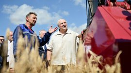 Александр Лукашенко в полях проинспектировал ход уборочной. Глава государства побывал в Смолевичском районе Минской области