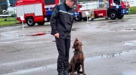«Один день с МЧС». В Борисовском районе прошел практический семинар для журналистов и блогеров
