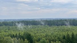 «Один день с МЧС». В Борисовском районе прошел практический семинар для журналистов и блогеров