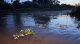Мы созданы дарить настроение! Наталия Радюк, директор культурно – досугового центра Солигорского района о празднике Купалье