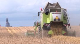 Экзамен на прочность сдают все. В Солигорском районе продолжается уборочная кампания