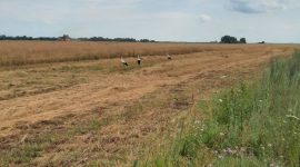 Молодежный экипаж Александра Деревянко и Ивана Кукреша: зарплата в летний сезон стоит того, чтобы напряженно поработать