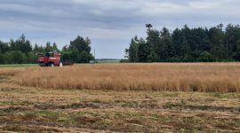 Молодежный экипаж Александра Деревянко и Ивана Кукреша: зарплата в летний сезон стоит того, чтобы напряженно поработать