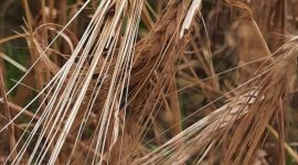 Молодежный экипаж Александра Деревянко и Ивана Кукреша: зарплата в летний сезон стоит того, чтобы напряженно поработать