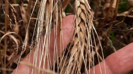 Молодежный экипаж Александра Деревянко и Ивана Кукреша: зарплата в летний сезон стоит того, чтобы напряженно поработать