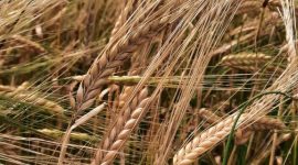 Молодежный экипаж Александра Деревянко и Ивана Кукреша: зарплата в летний сезон стоит того, чтобы напряженно поработать