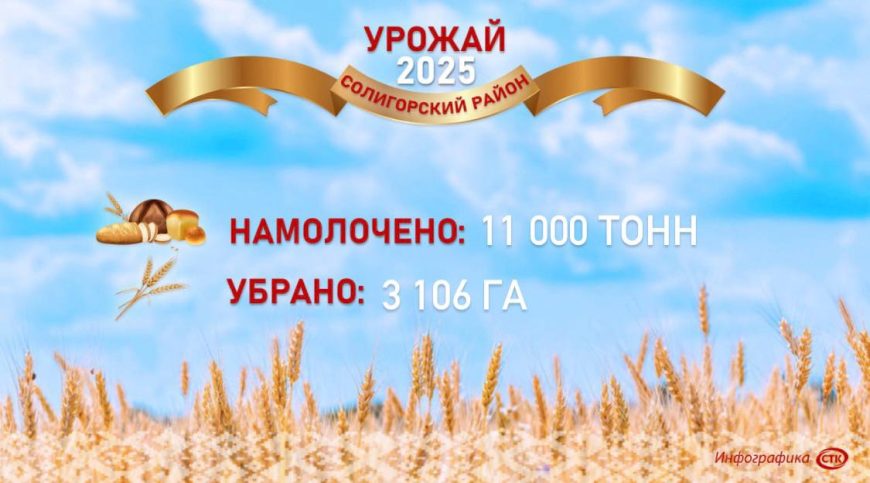 Нет времени ждать! Все нужно убрать!  Как идет жатва в Солигорском районе?