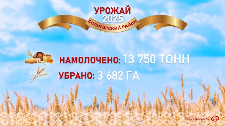 Солигорские хлеборобы активно ведут уборку урожая!