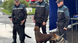 «Один день с МЧС». В Борисовском районе прошел практический семинар для журналистов и блогеров