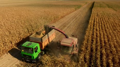 Уборочная кампания продолжается в Солигорском районе. Сколько зерна намолочено на 7 августа?