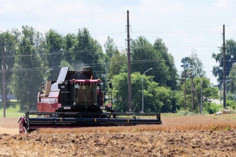 Жатва продолжается. Аграрии Солигорщины продолжают работу в полях