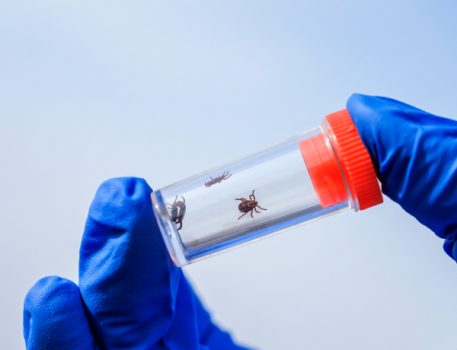 Более 16 тысяч человек обратились за медицинской помощью после укусов клещей